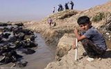 مهندس صالح راد: تنش آبی جدی گرفته شود/ خوزستان را دچار بحران نکنید! مهندس صالح راد: تنش آبی جدی گرفته شود/ خوزستان را دچار بحران نکنید!