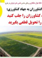انتشار چهلمین شماره از هفته نامه پنج نخل