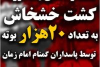 کشف و انهدام مزرعه کشت خشخاش در دزفول کشف و انهدام مزرعه کشت خشخاش در دزفول