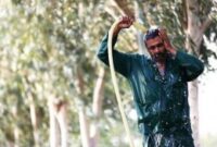 شرجی و رطوبت مهمان پاییزی خوزستانی‌ها