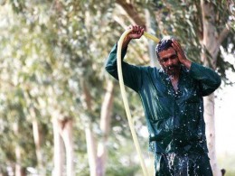 شرجی و رطوبت مهمان پاییزی خوزستانیها شرجی و رطوبت مهمان پاییزی خوزستانیها
