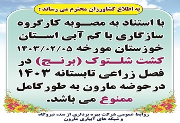 ممنوعیت کشت شلتوک در حوضه مارون ممنوعیت کشت شلتوک در حوضه مارون