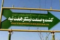 خواب تلخی که خریداران برای تاراج اموال هفتتپه دیده بودند خواب تلخی که خریداران برای تاراج اموال هفتتپه دیده بودند