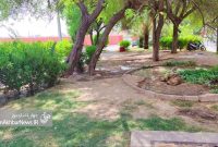 وضعیت نابه‌سامان چمن‌های پارک بهزاد شهر(مناطق)+نظرات ساکنین در پی بهبود وضعیت چمن های این پارک