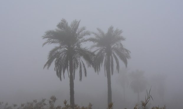 پیش بینی وقوع مه صبحگاهی و تداوم شرجی در خوزستان پیش بینی وقوع مه صبحگاهی و تداوم شرجی در خوزستان