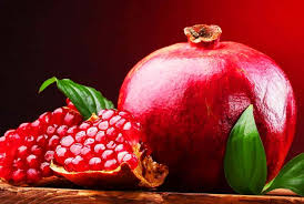 شب یلدا و همدلی زمستانی شب یلدا و همدلی زمستانی