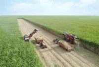 برداشت نیشکر از ابتدای فصل، ۱۰۰ درصد سبز انجام شده است