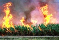 از مزارع نیشکر تا صنایع نفتی؛ معادله پیچیده آلودگی در اهواز