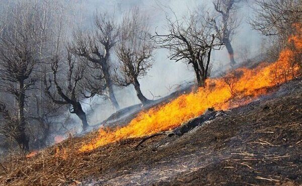 مهار آتش‌سوزی در چهار منطقه عرصه طبیعی خوزستان