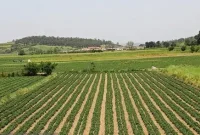 جلوگیری از بروز اختلافات و آسیب‌های اجتماعی در خوزستان با تثبیت مالکیت اراضی